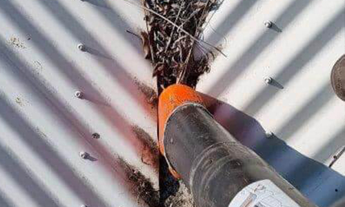Hose nozzle clearing leaves and debris from a gutter on a white metal roof